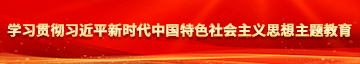 欧美操逼大全学习贯彻习近平新时代中国特色社会主义思想主题教育